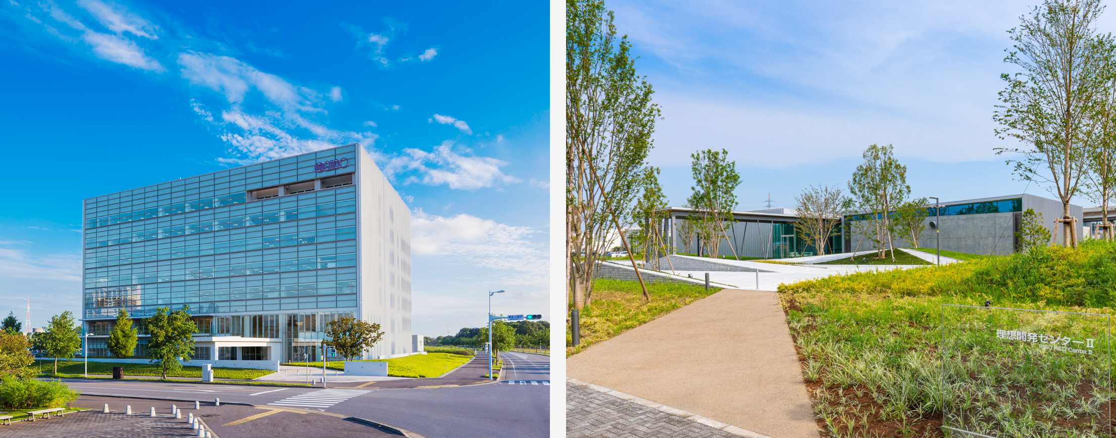   会社概要について教えてください