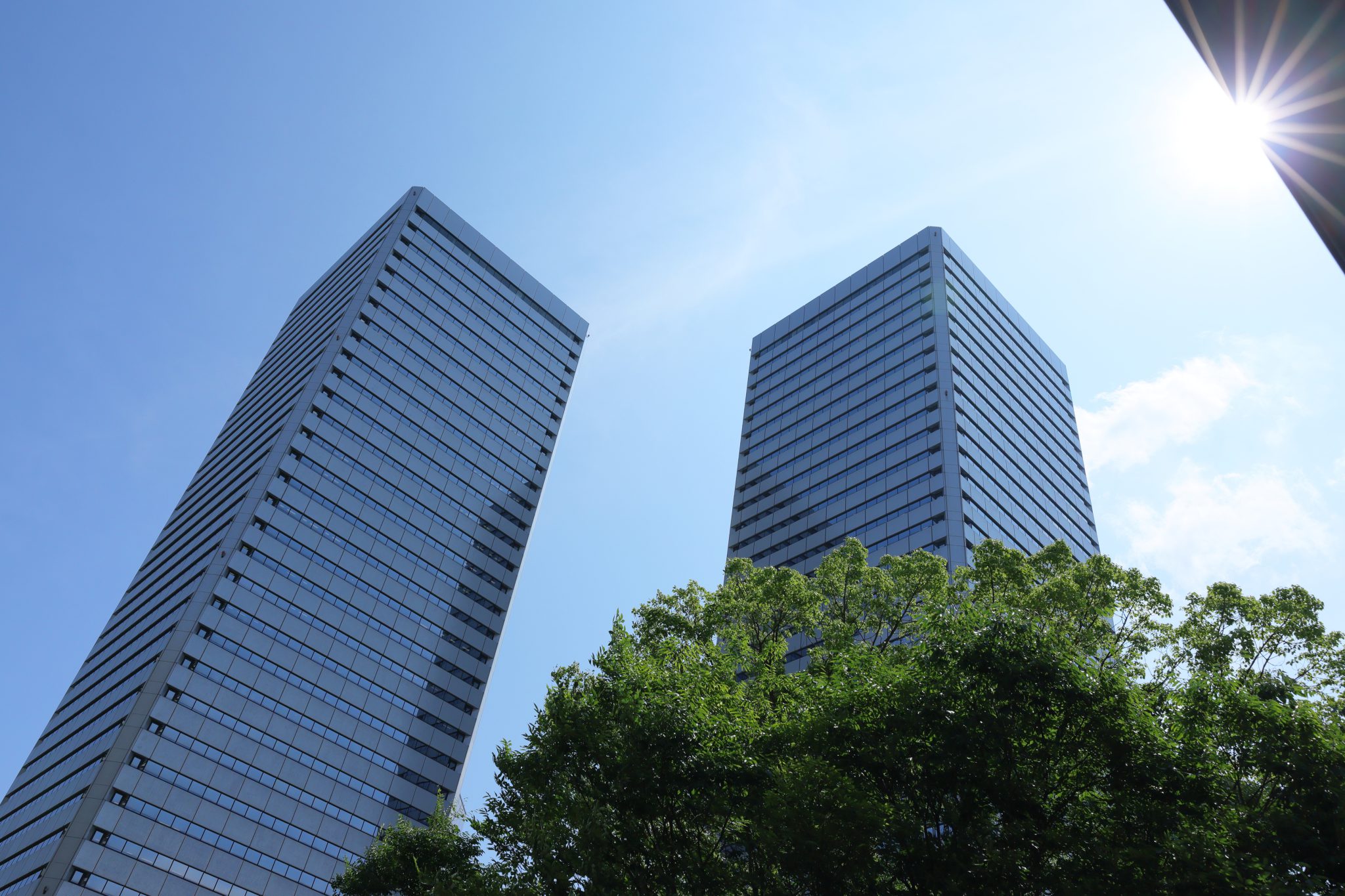  今後は得られたデータを活用し、さらにハイレベルな生産性の向上を