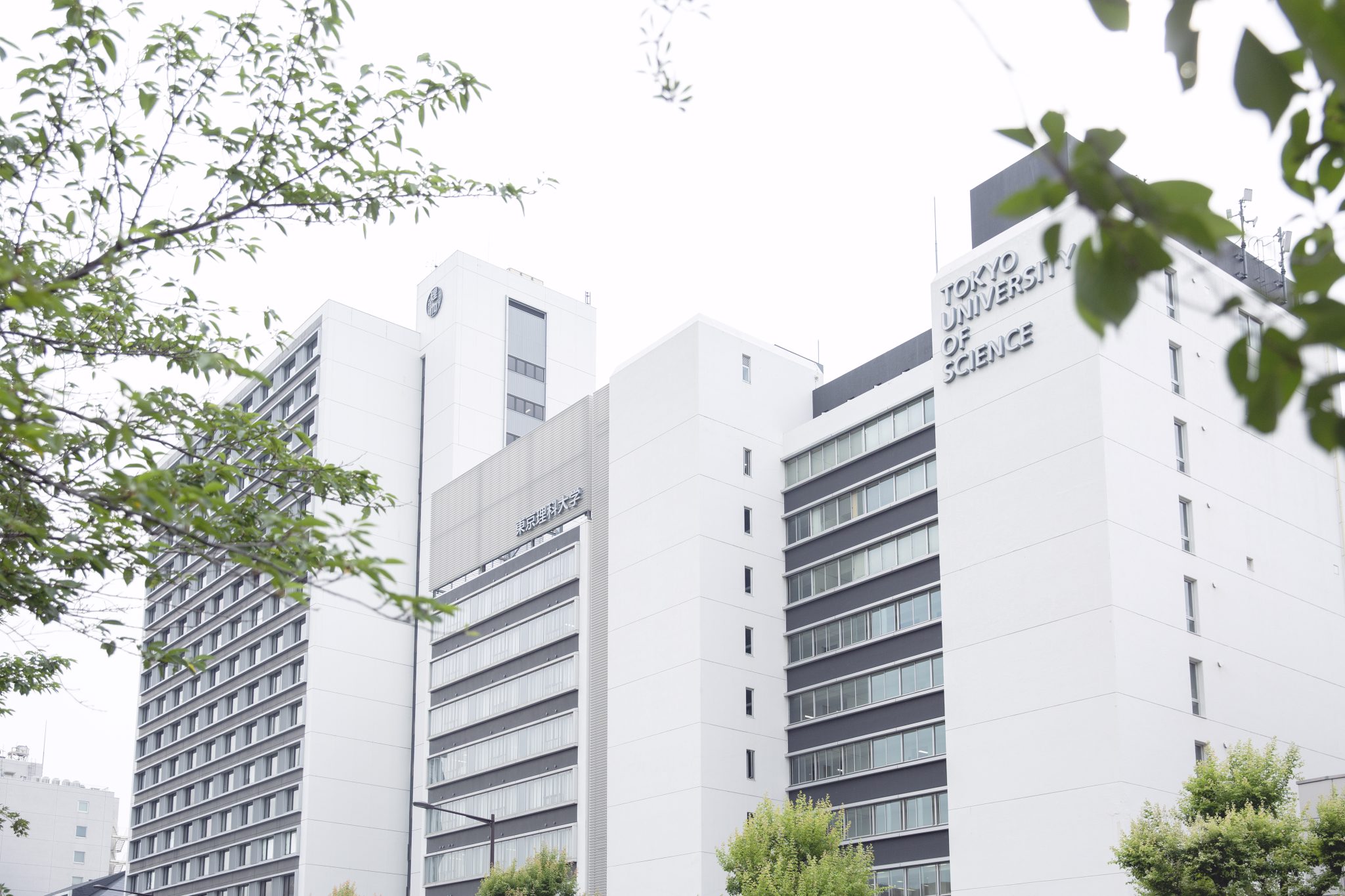 最後に一言お願いいたします。